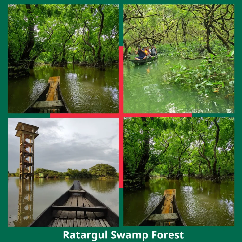 Ratargul-Swamp-Forest