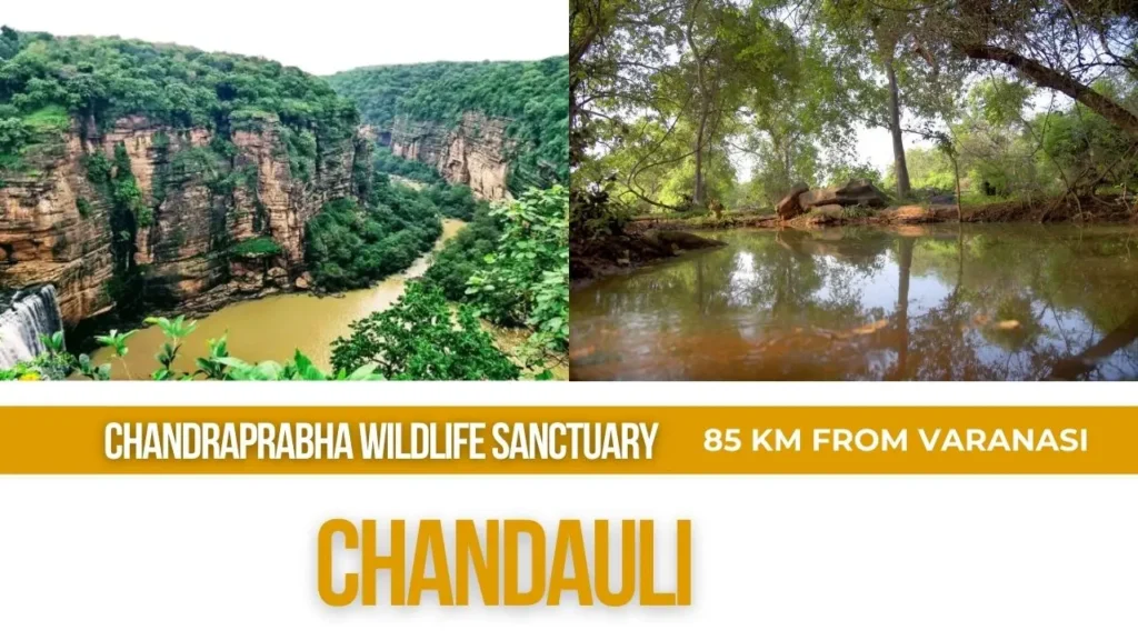 Chandauli-85-kms-near-varanasi